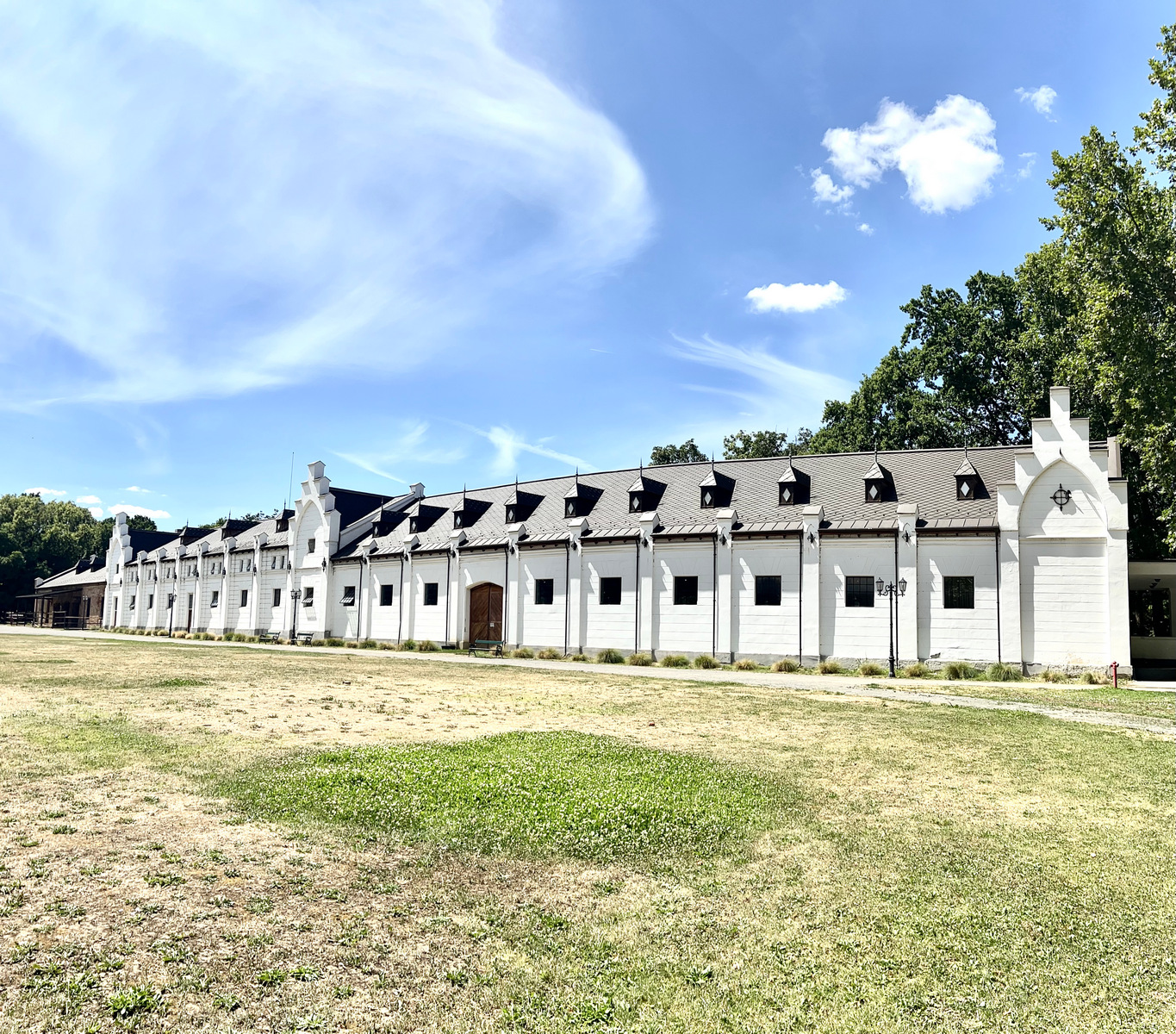 Reabilitarea Manègeului din Carei